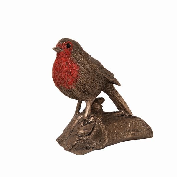 Robin red breast