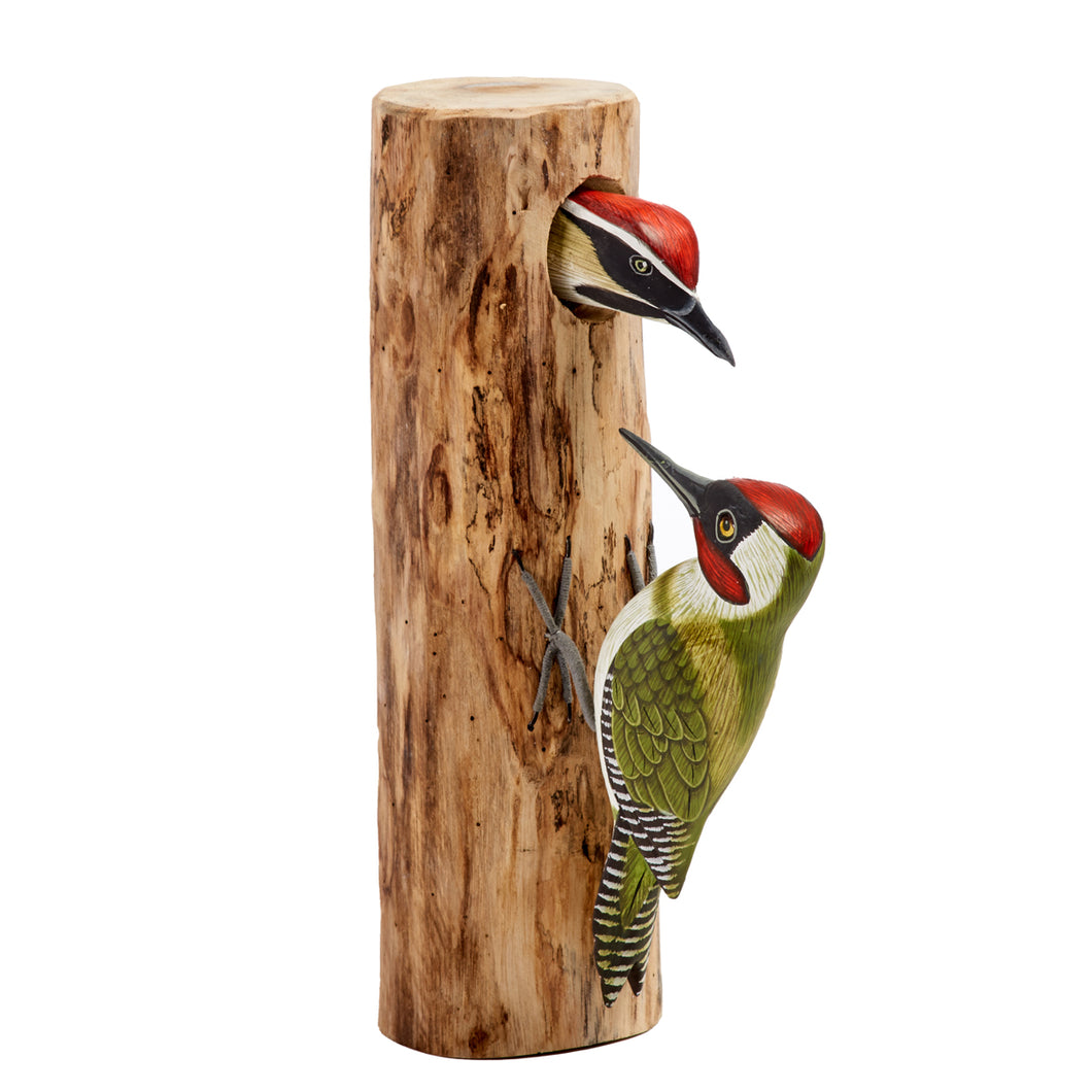 Two green woodpeckers on driftwood
