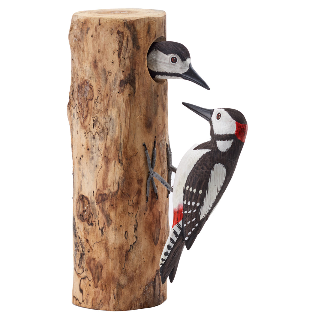 Two Great Spotted Woodpeckers