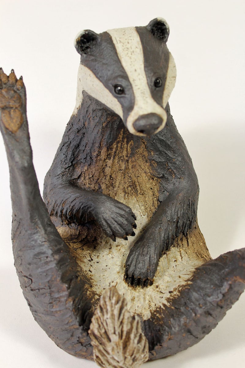 Large badger scratching by Pippa Hill
