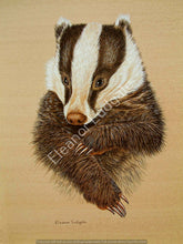 Load image into Gallery viewer, Badger signed print
