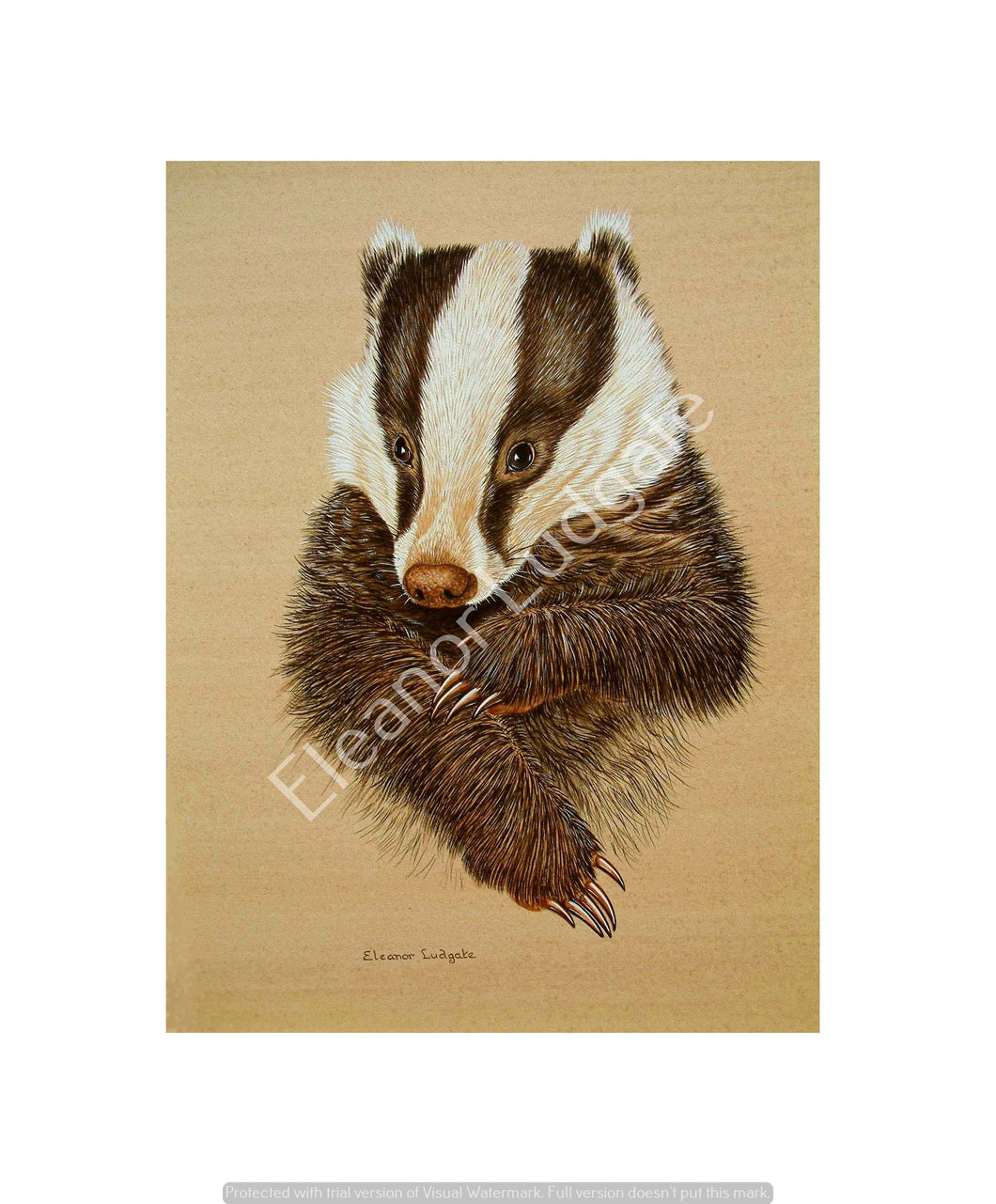 Mr Brock signed framed print