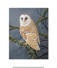 Load image into Gallery viewer, Barn Owl signed print
