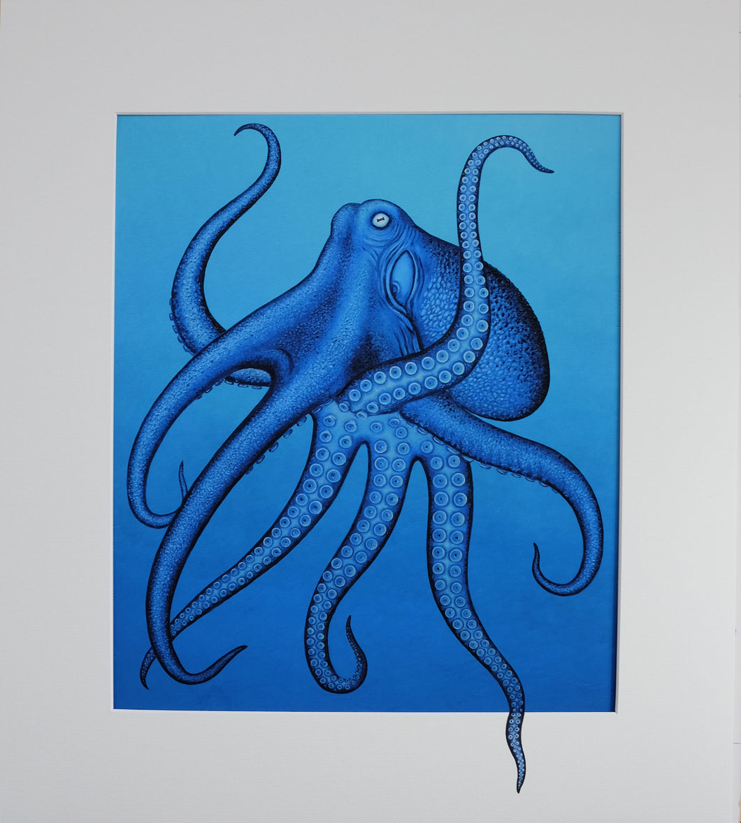 Blue octopus with original painted mount. Framed print