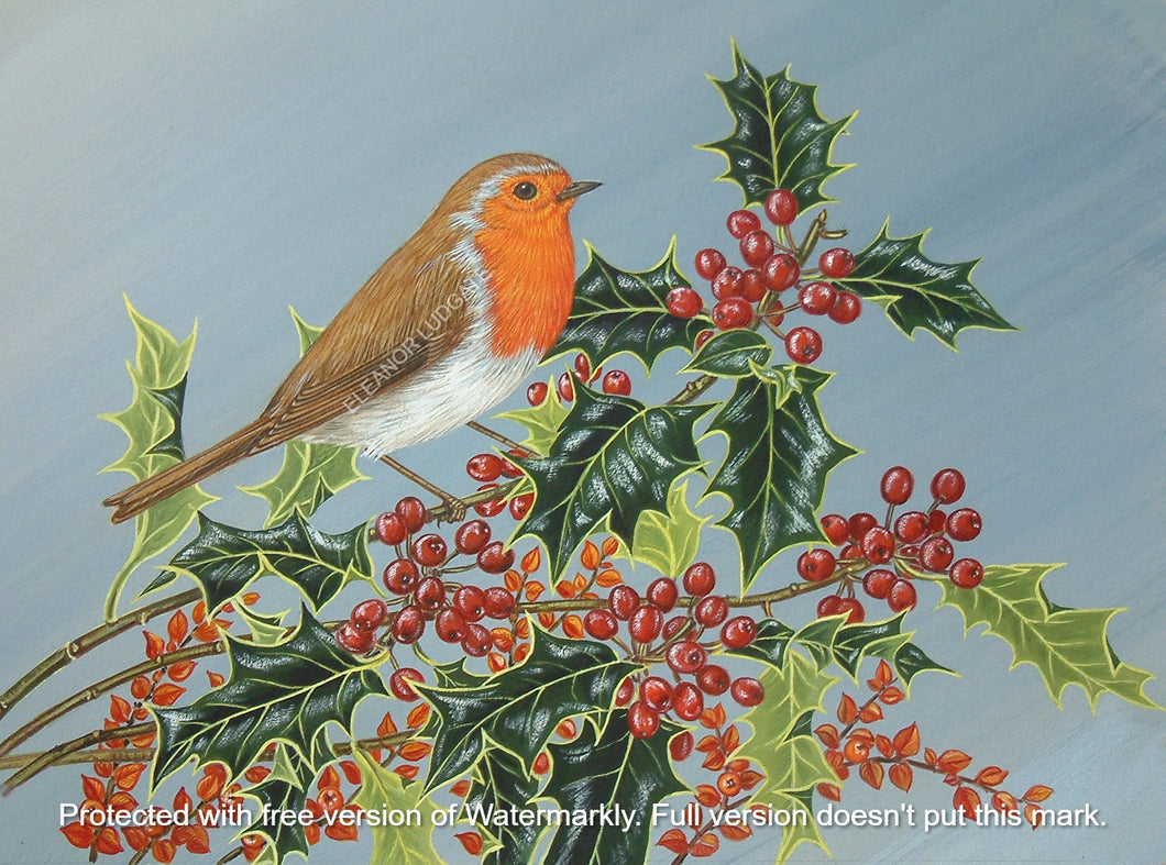Christmas Robin signed framed print
