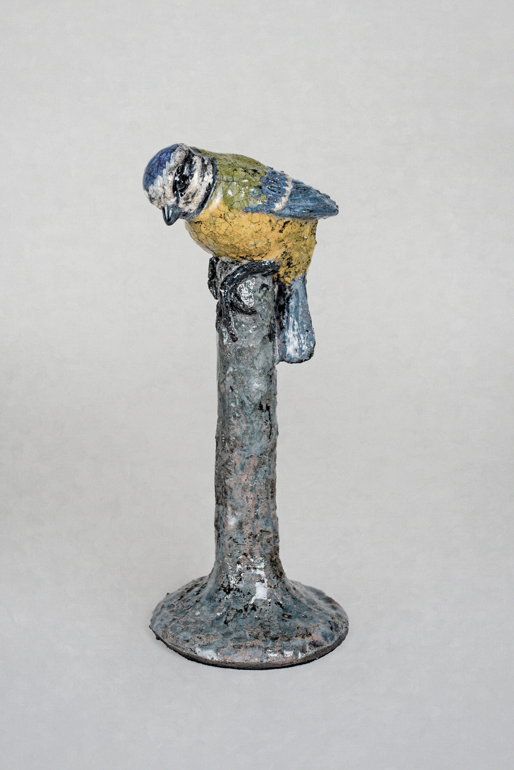 Blue Tit by Rachel slade