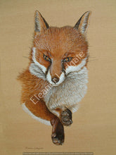 Load image into Gallery viewer, Fox signed print
