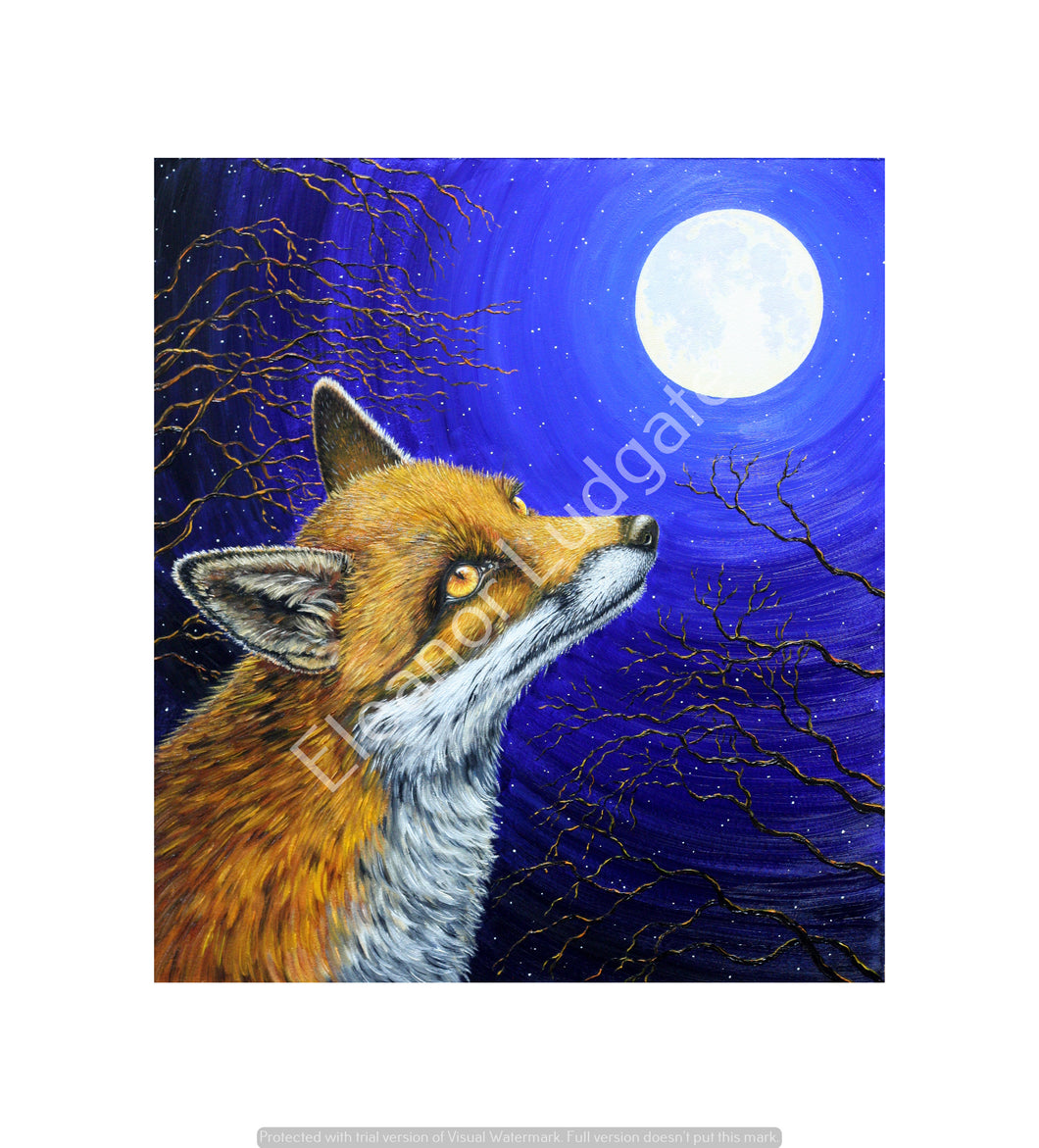 Fox & The Moon signed framed print