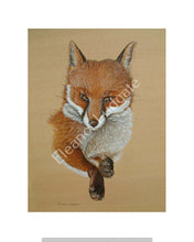 Load image into Gallery viewer, Fox signed print
