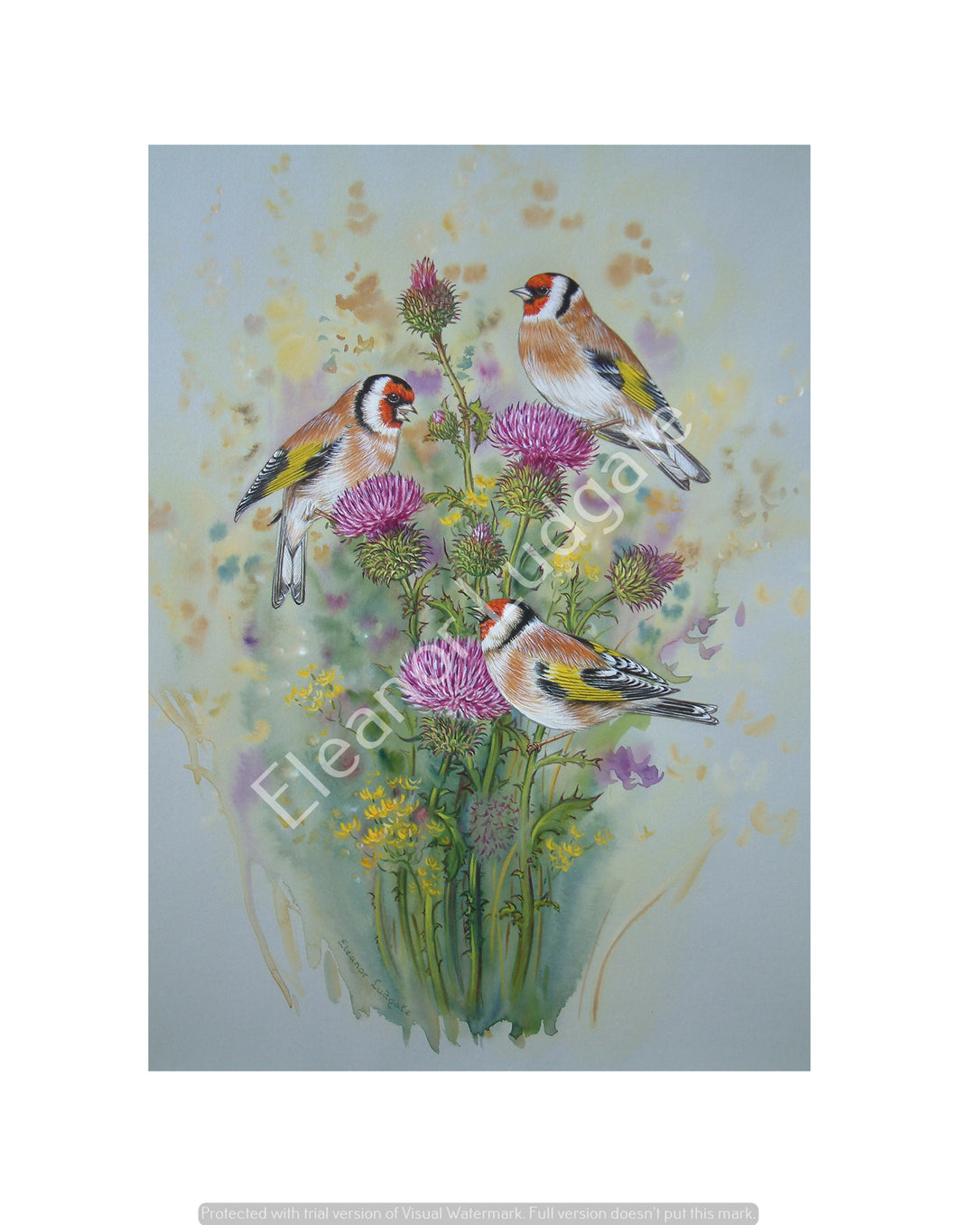 Goldfinches on thistles signed print