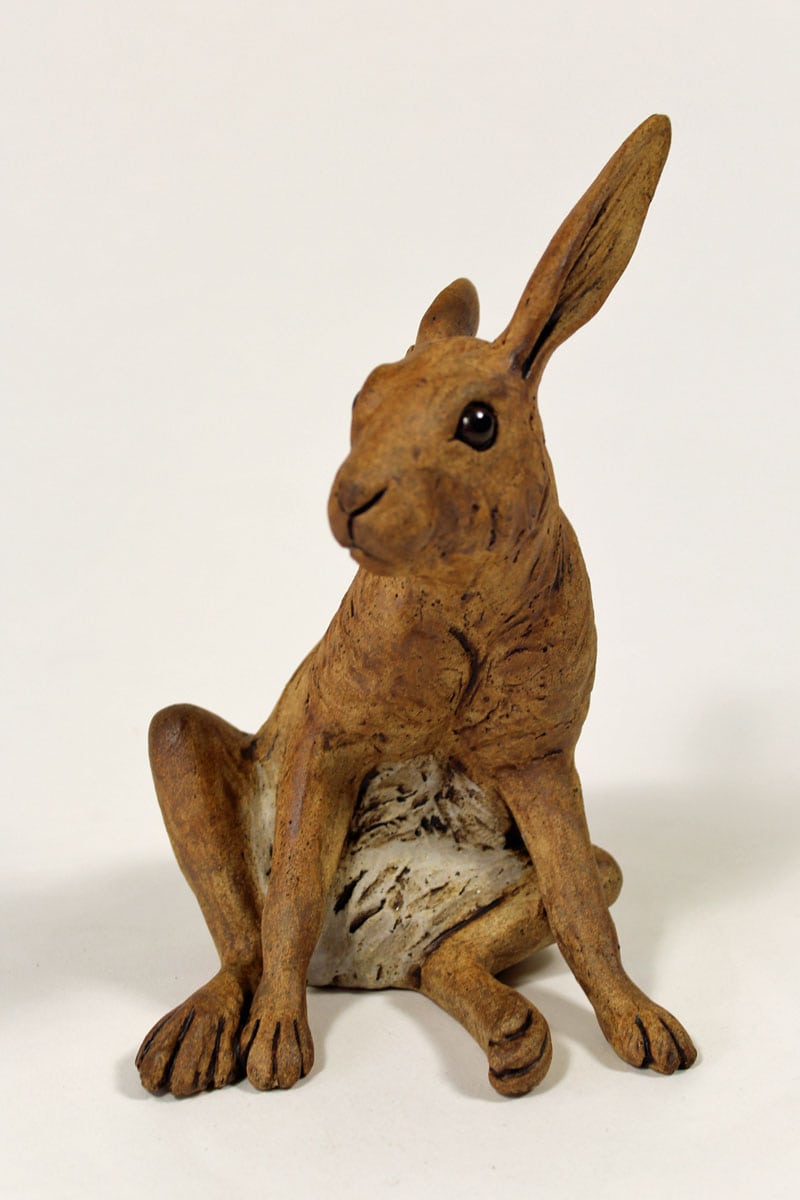 Startled Hare