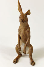 Load image into Gallery viewer, An Inquisitive Hare
