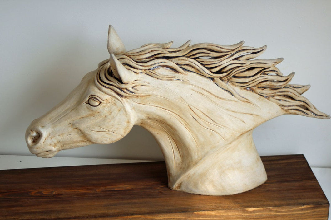 White Horse’s Head by Pippa Hill