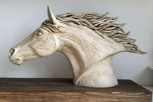Load image into Gallery viewer, White Horse’s Head by Pippa Hill
