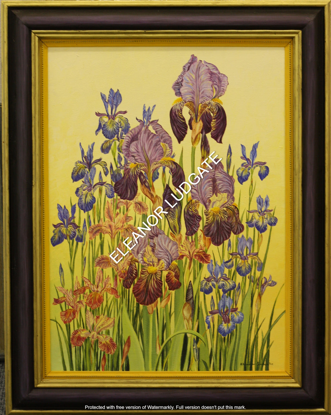 Iris Original Painting