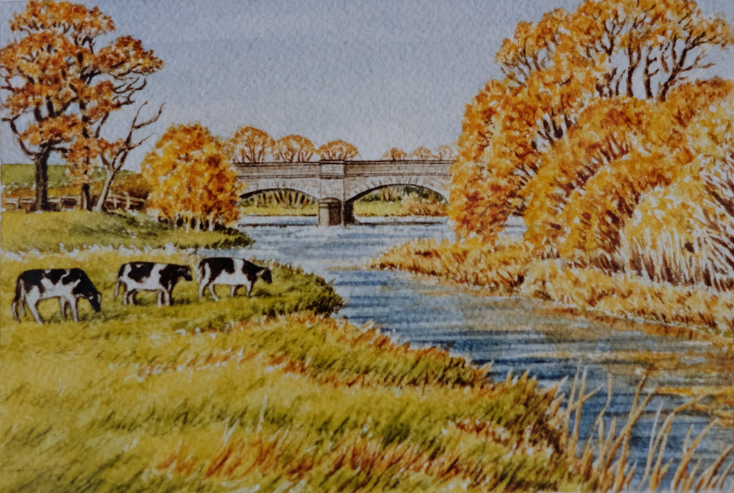 Newton Poppleford Bridge framed print