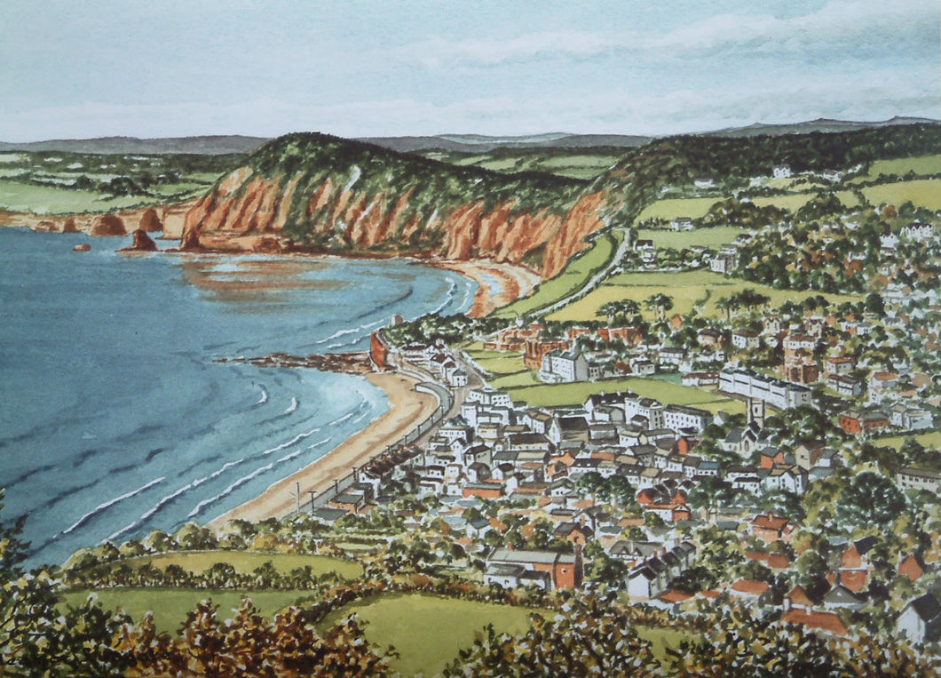 Sidmouth signed framed print