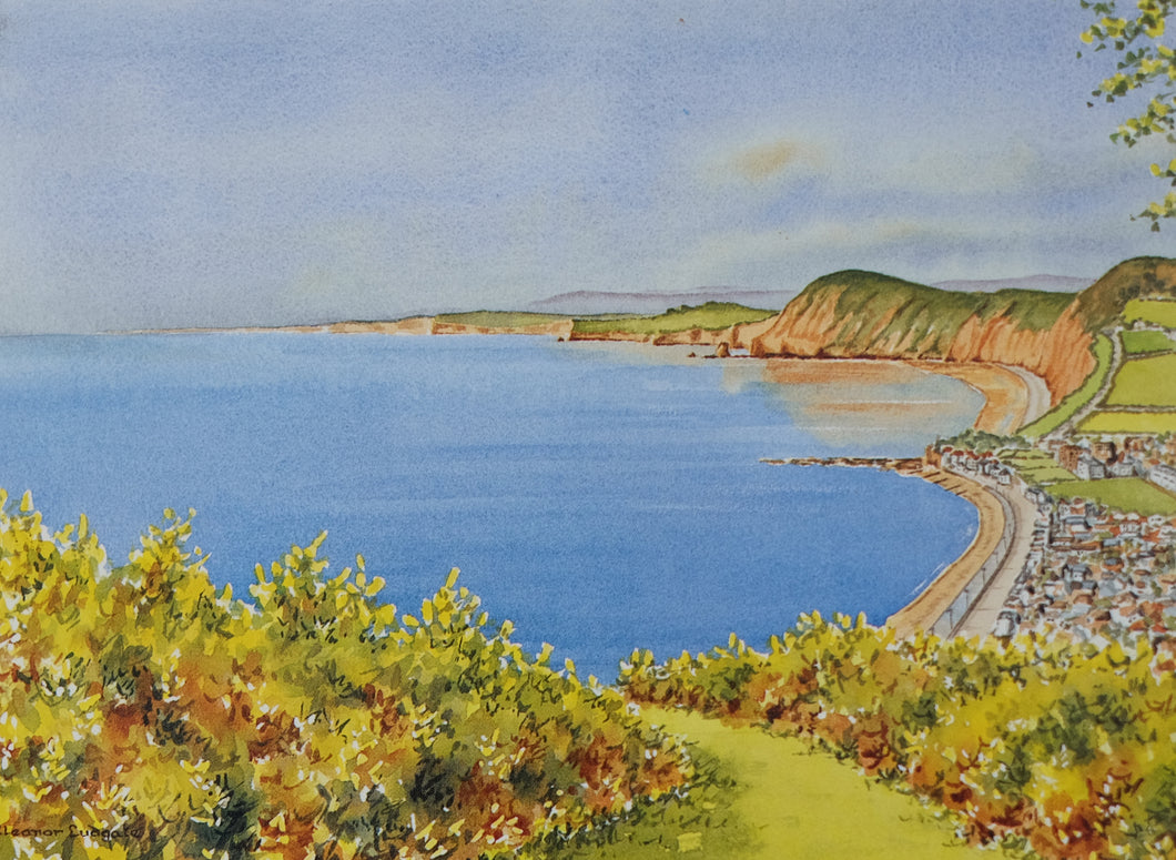 Beautiful Sidmouth signed framed print