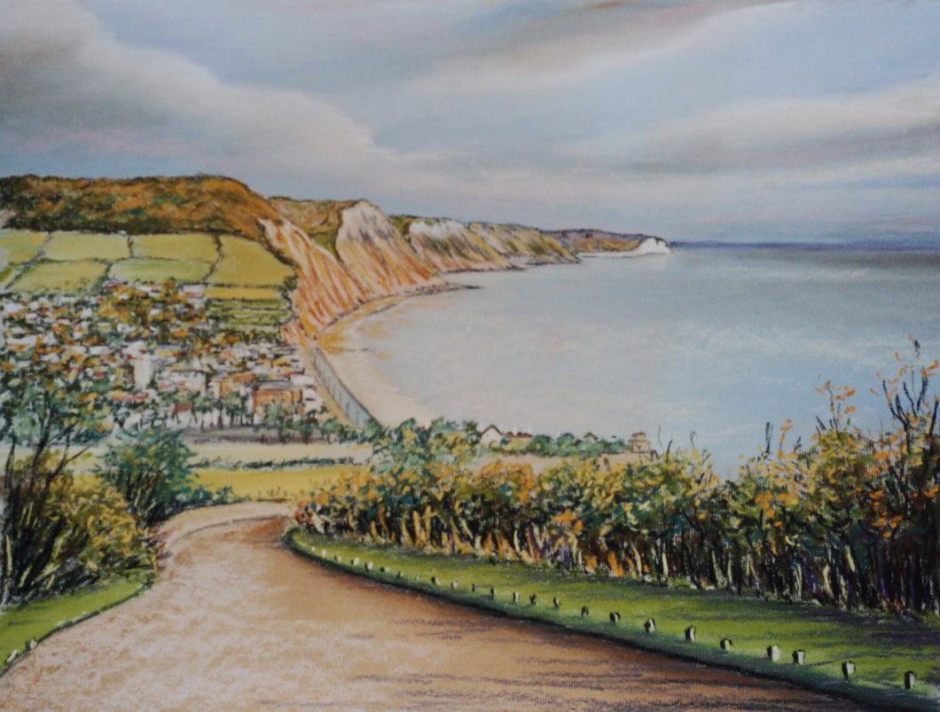 Sidmouth from Peak Hill signed framed print
