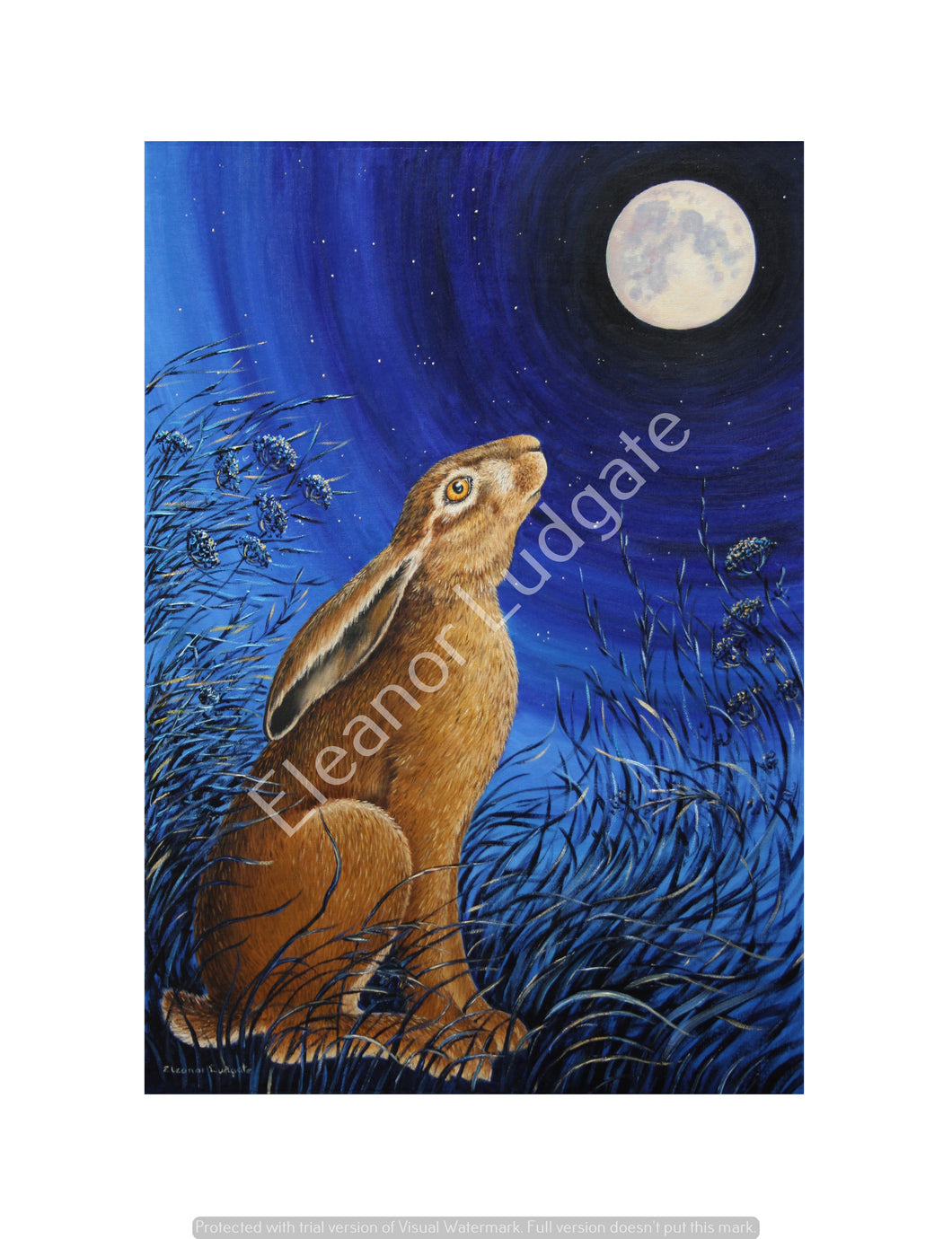 Moonwatching hare signed print