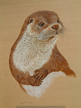 Load image into Gallery viewer, Otter signed print
