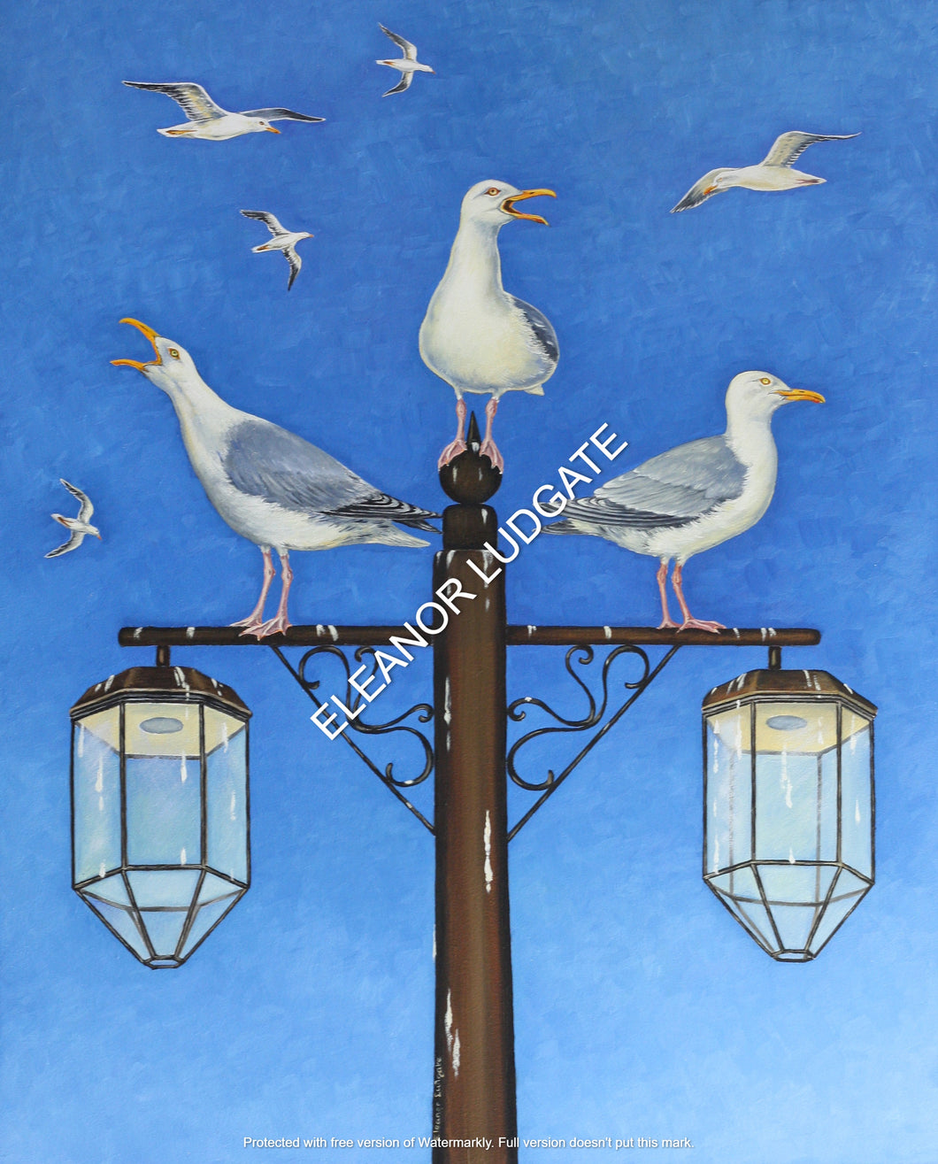 Sidmouth Seagulls Framed Print