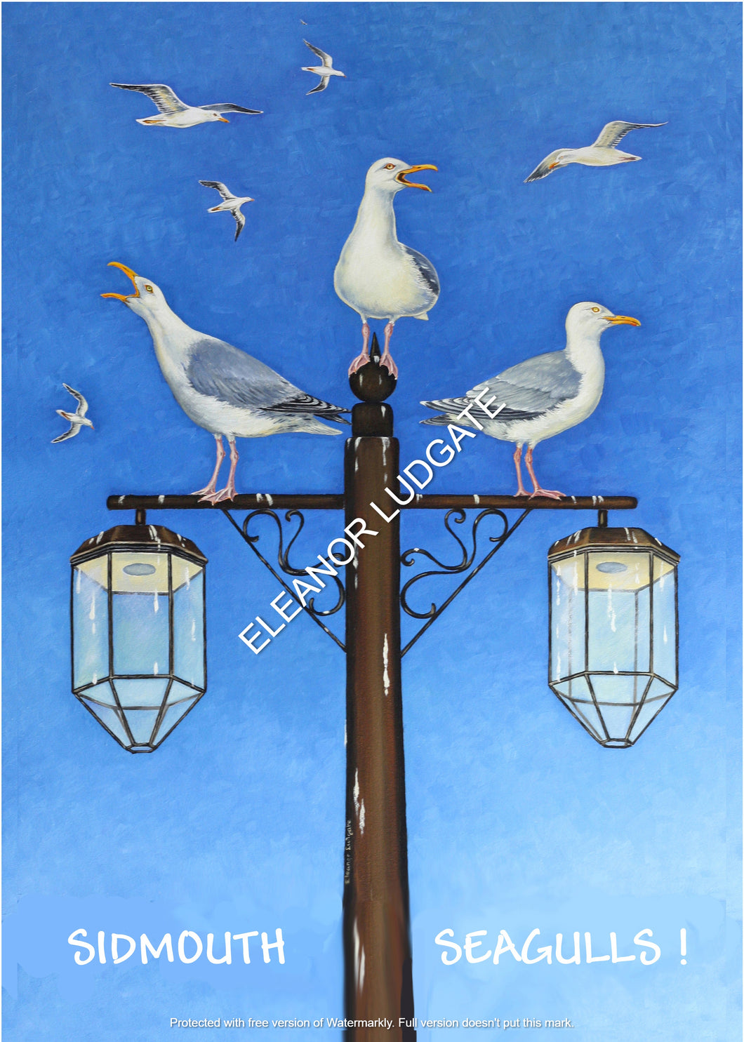 Sidmouth Seagulls Framed Print