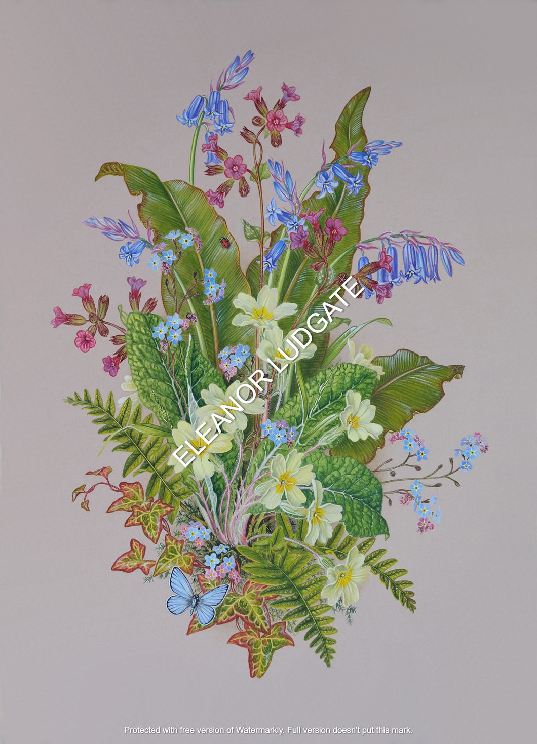 Spring time in Devon Limited Framed print