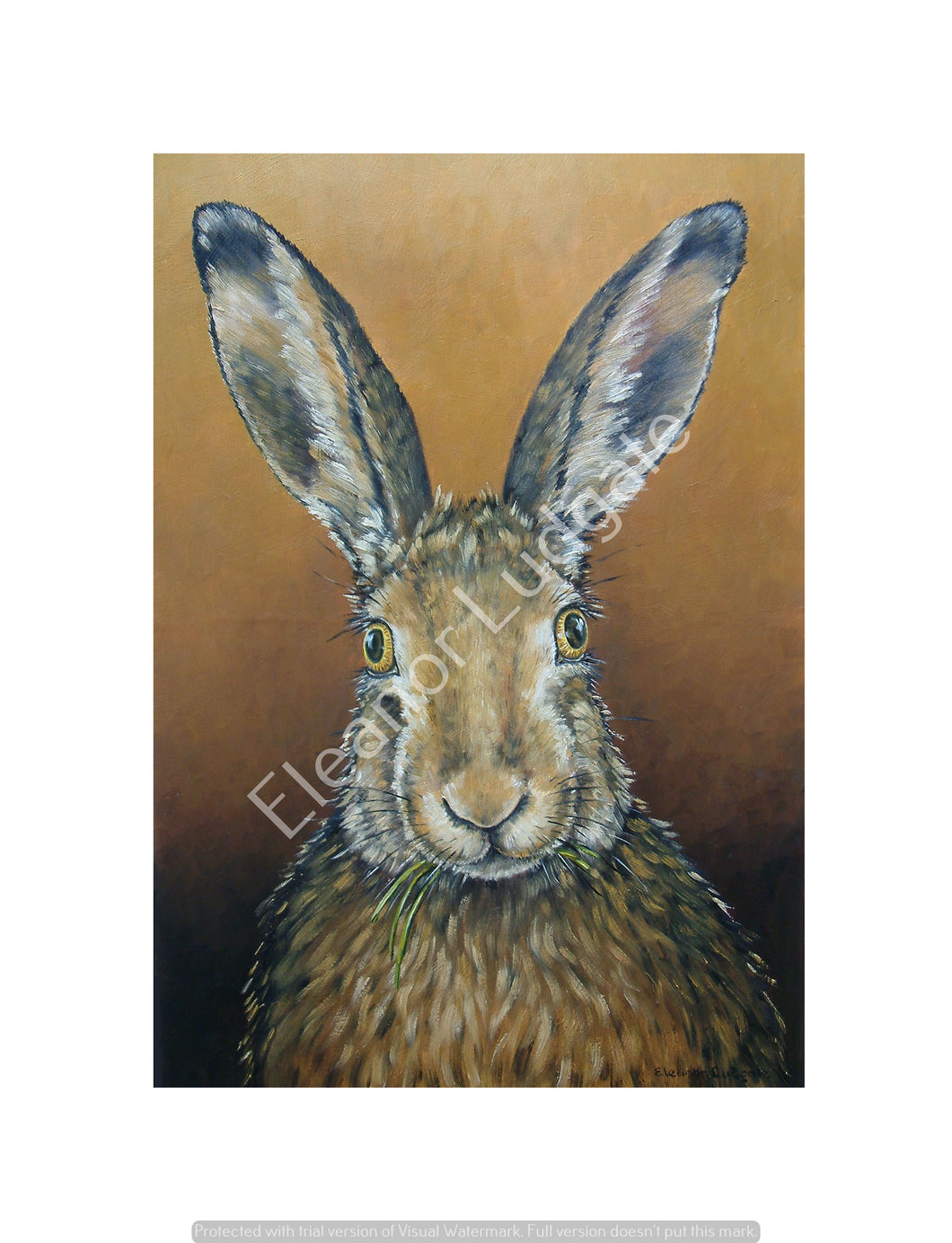 Startled hare signed framed print