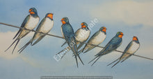 Load image into Gallery viewer, Swallows 7  Limited edition framed print.
