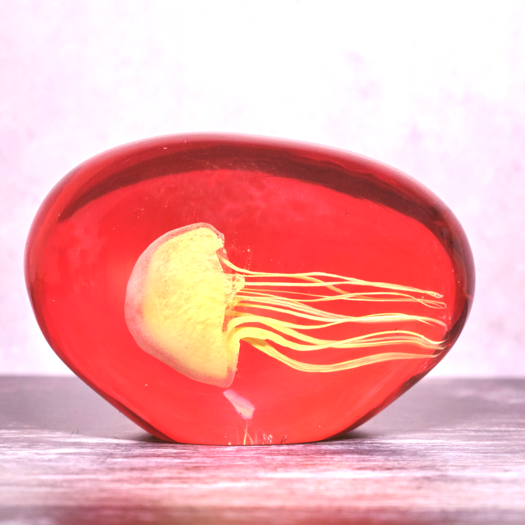 Yellow Jellyfish in Red Glass