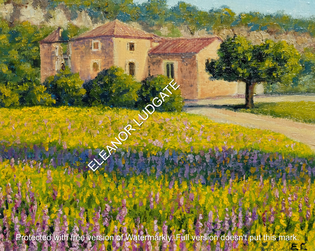 Champ D'Sauge, Provence Original Framed Painting