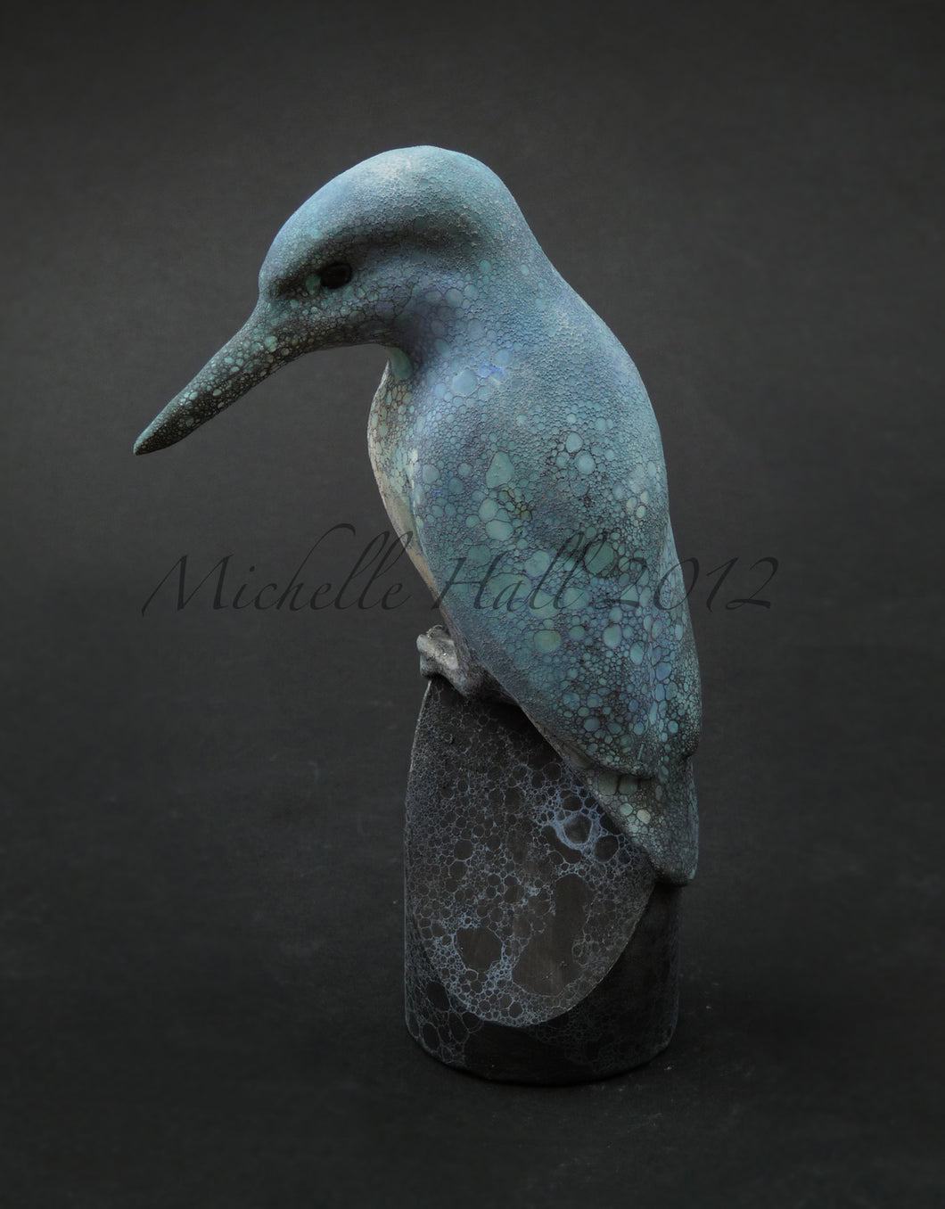 Kingfisher by Michelle Hall