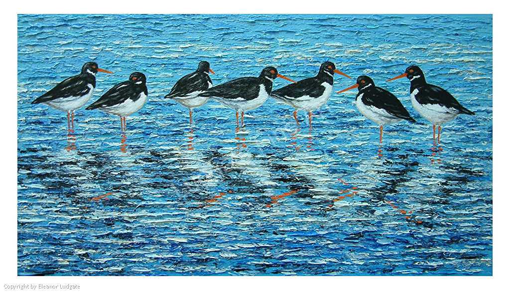 Oystercatchers Original framed painting (collection only)