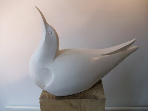 Tern by Paul Harvey